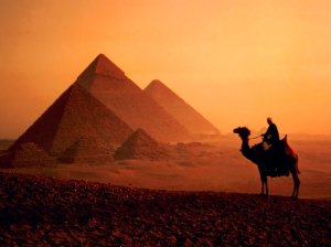 Egypt-travel-the-Pyramids-camel